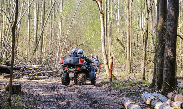 Конные прогулки, катание на лошадях в Москве