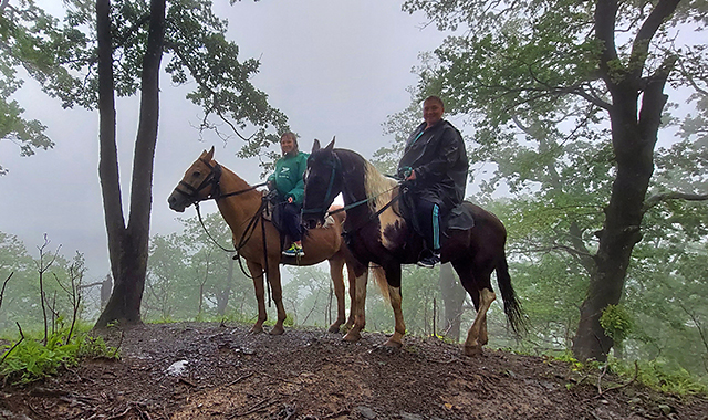 Животные на ферме для детей в Москве