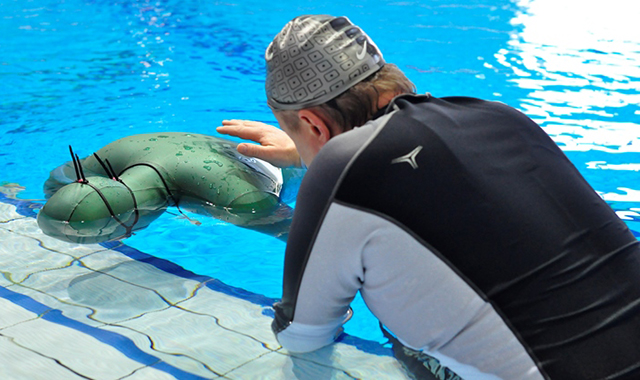 Виды водных развлечений в Москве и Подмосковье