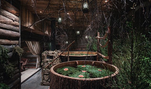 Баня вип (VIP) в Москве и Подмосковье