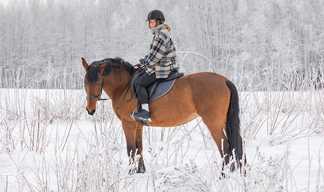 Подарочный сертификат на Зимние развлечения