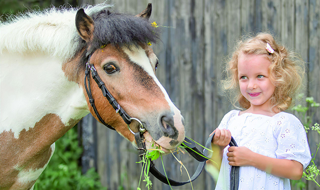 Животные на ферме для детей в Москве