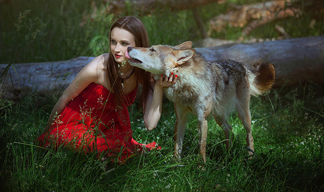 Животные на ферме для детей