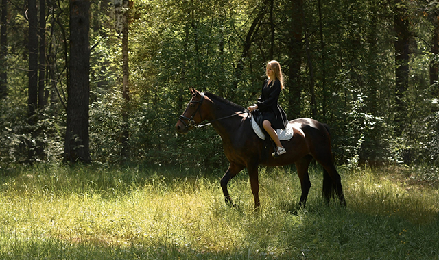 Отдых осенью в Екатеринбурге