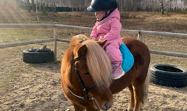 Подарочный сертификат на Конные прогулки