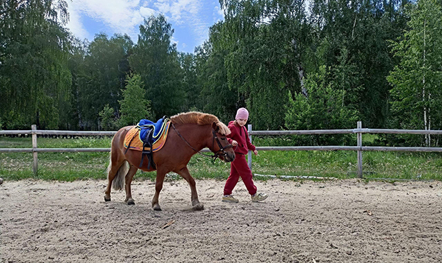 Конные прогулки, катание на лошадях в Москве