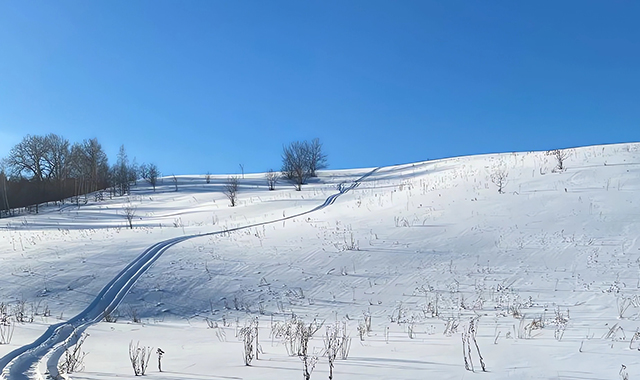Катания на снегоходе с ребенком