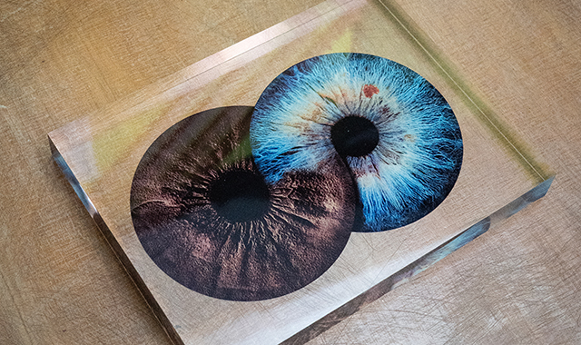 Семейная фотосъемка в студии в Москве