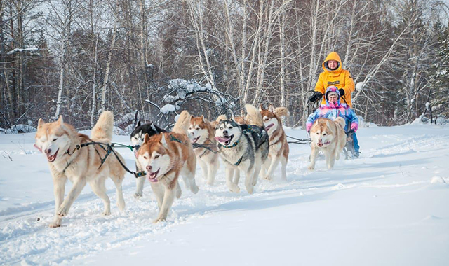 Животные на ферме для детей в Москве
