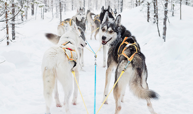 Контактный зоопарк в Москве